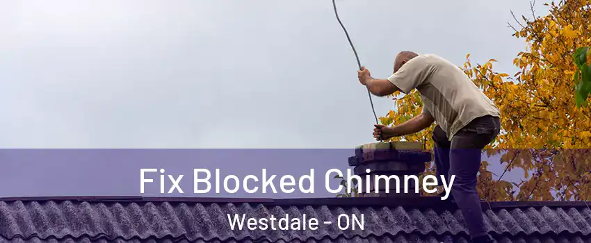  Fix Blocked Chimney Westdale - ON