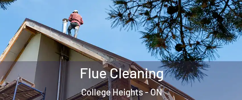  Flue Cleaning College Heights - ON