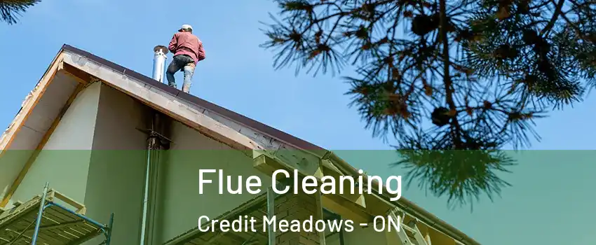  Flue Cleaning Credit Meadows - ON