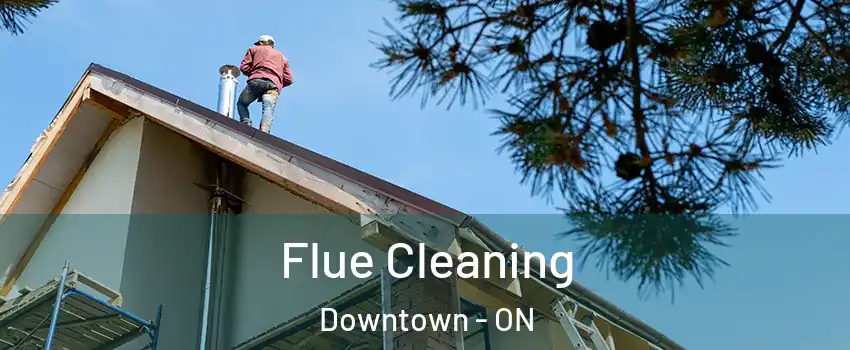  Flue Cleaning Downtown - ON