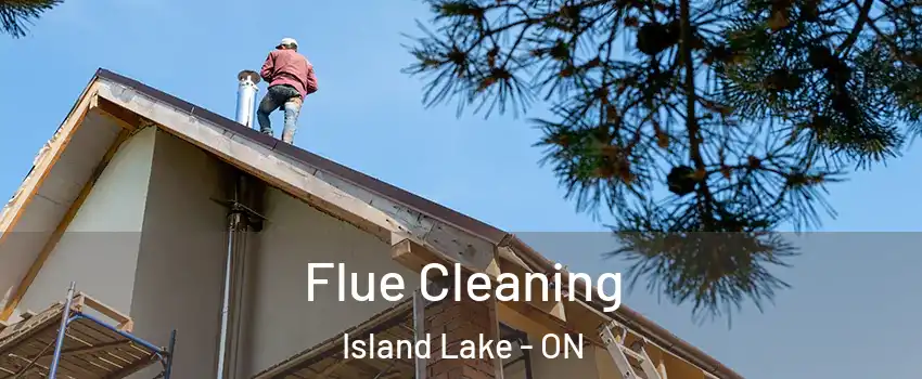  Flue Cleaning Island Lake - ON