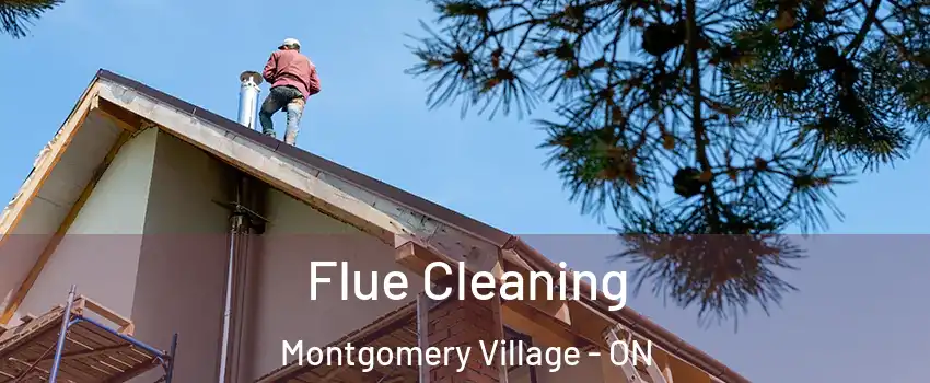  Flue Cleaning Montgomery Village - ON