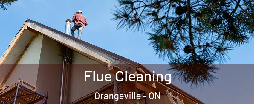  Flue Cleaning Orangeville - ON