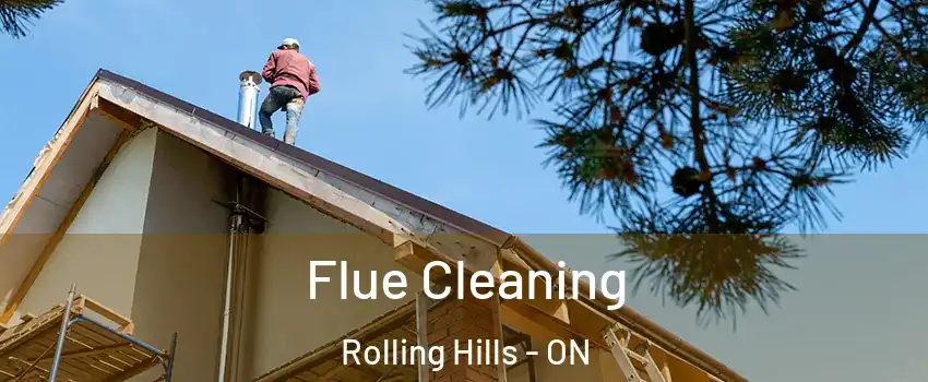  Flue Cleaning Rolling Hills - ON
