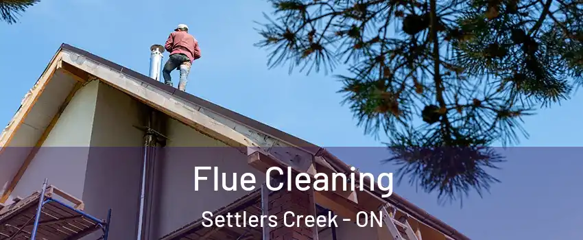  Flue Cleaning Settlers Creek - ON