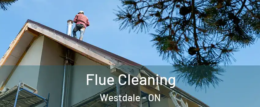  Flue Cleaning Westdale - ON