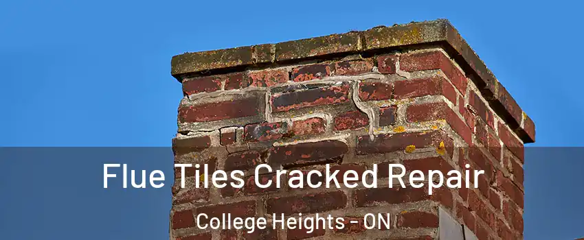  Flue Tiles Cracked Repair College Heights - ON