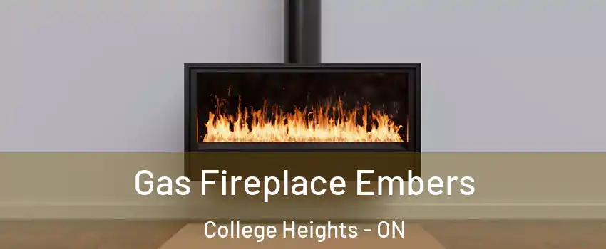 Gas Fireplace Embers College Heights - ON