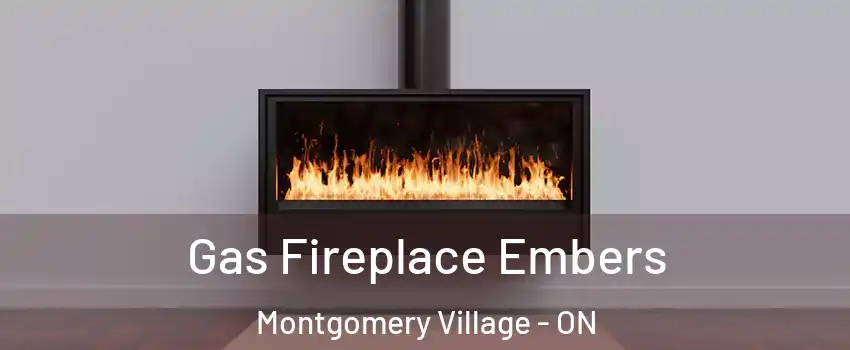  Gas Fireplace Embers Montgomery Village - ON