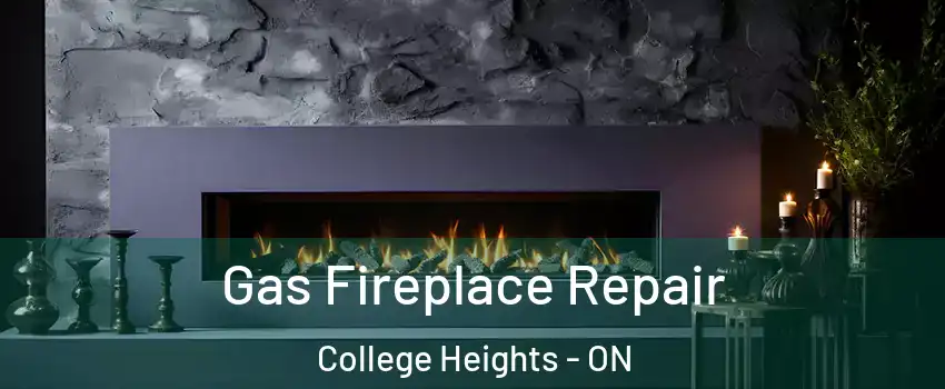  Gas Fireplace Repair College Heights - ON