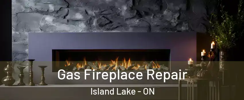  Gas Fireplace Repair Island Lake - ON