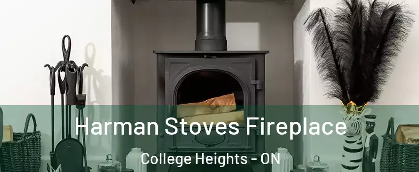  Harman Stoves Fireplace College Heights - ON