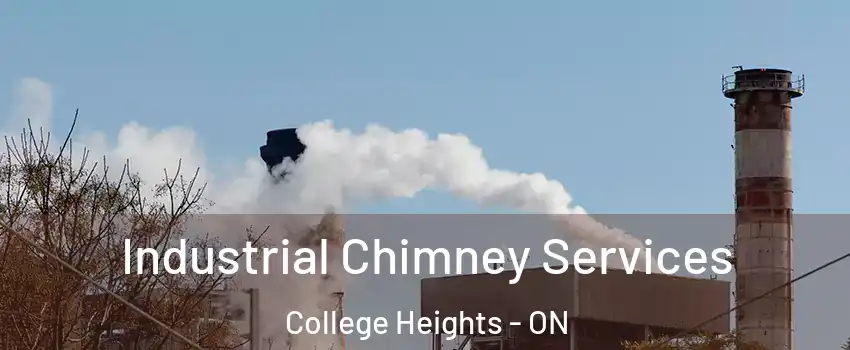  Industrial Chimney Services College Heights - ON