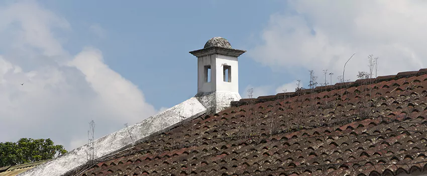 Wind-Resistant Chimney Caps Installation and Repair Services in Meadowlands, Ontario