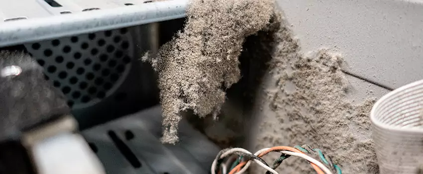 Clogged Dryer Vent Lint Cleaning in Meadowlands, Ontario