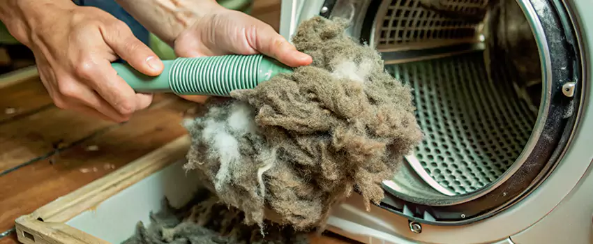 Best Dryer Lint Removal Company in Meadowlands, Ontario