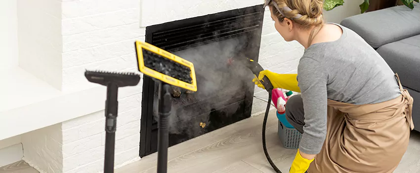 Fireplace Doors Cleaning in Meadowlands, Ontario