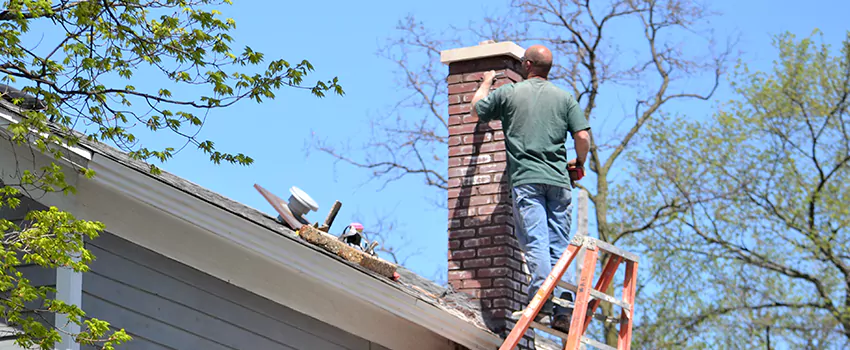 Chimney And Flue Brush Cleaning in Meadowlands, Ontario