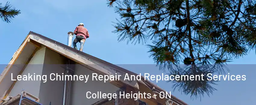  Leaking Chimney Repair And Replacement Services College Heights - ON