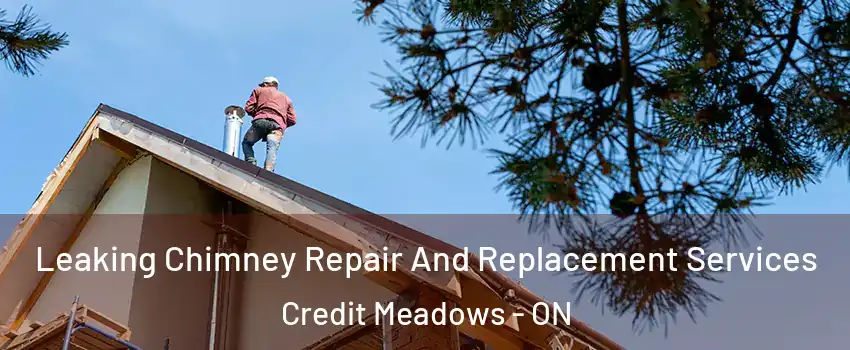  Leaking Chimney Repair And Replacement Services Credit Meadows - ON
