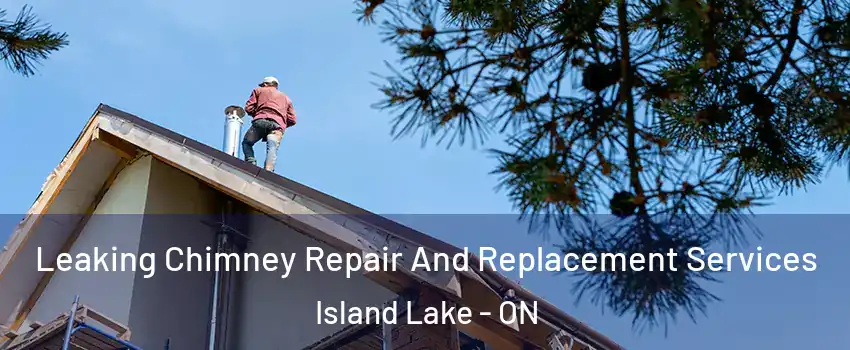  Leaking Chimney Repair And Replacement Services Island Lake - ON