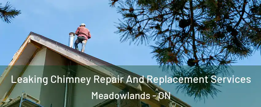  Leaking Chimney Repair And Replacement Services Meadowlands - ON