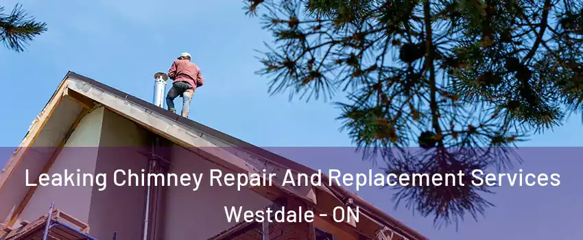  Leaking Chimney Repair And Replacement Services Westdale - ON
