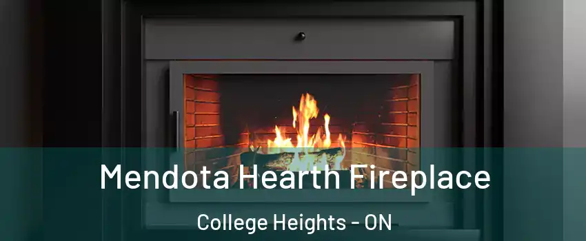 Mendota Hearth Fireplace College Heights - ON