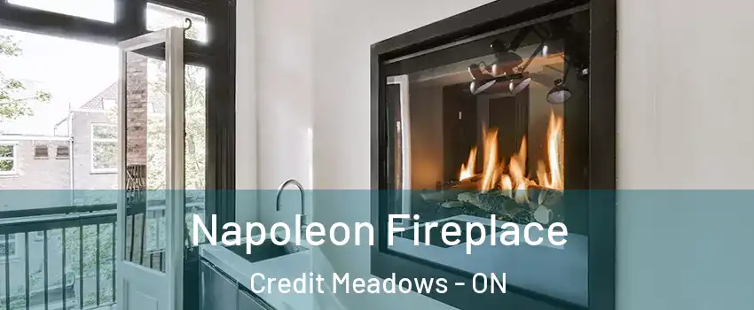 Napoleon Fireplace Credit Meadows - ON