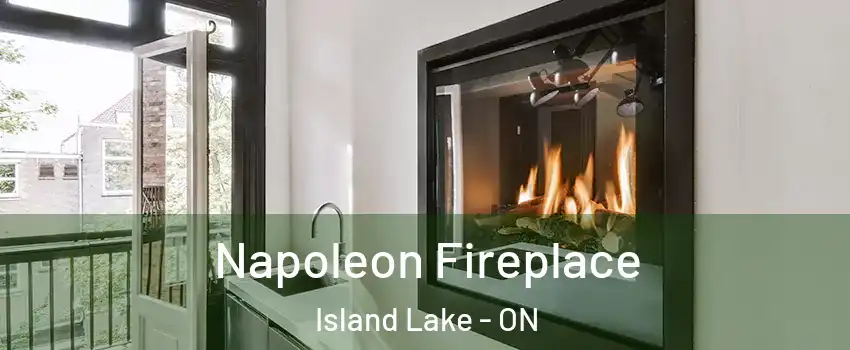  Napoleon Fireplace Island Lake - ON