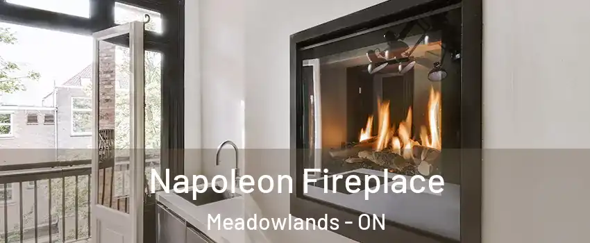  Napoleon Fireplace Meadowlands - ON