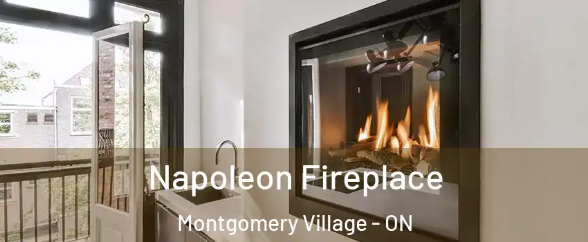  Napoleon Fireplace Montgomery Village - ON