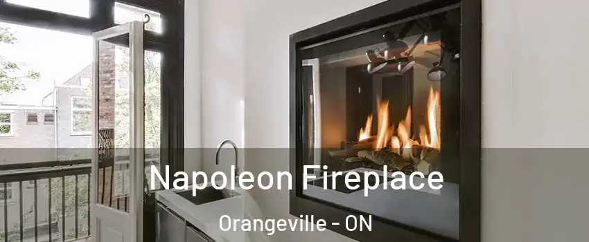  Napoleon Fireplace Orangeville - ON