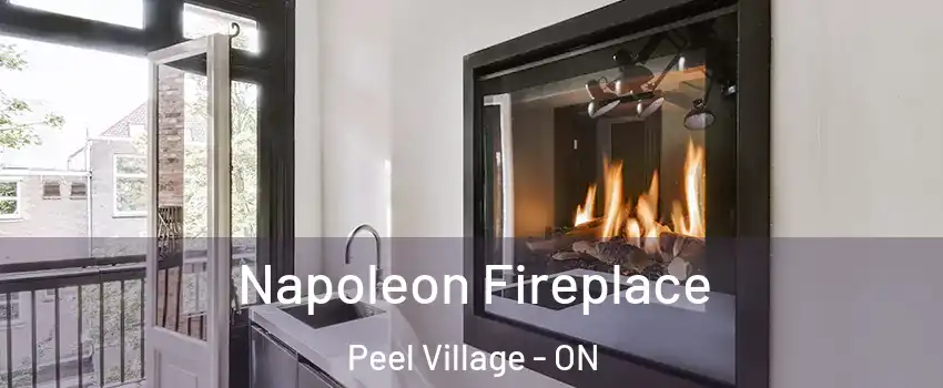  Napoleon Fireplace Peel Village - ON