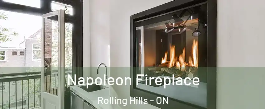  Napoleon Fireplace Rolling Hills - ON