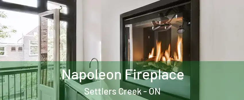  Napoleon Fireplace Settlers Creek - ON