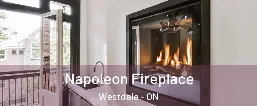  Napoleon Fireplace Westdale - ON