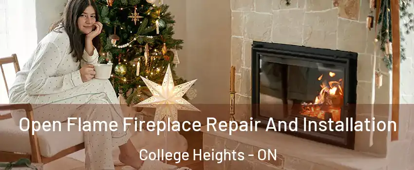  Open Flame Fireplace Repair And Installation College Heights - ON