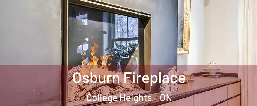  Osburn Fireplace College Heights - ON