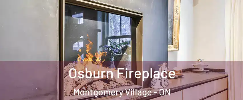  Osburn Fireplace Montgomery Village - ON