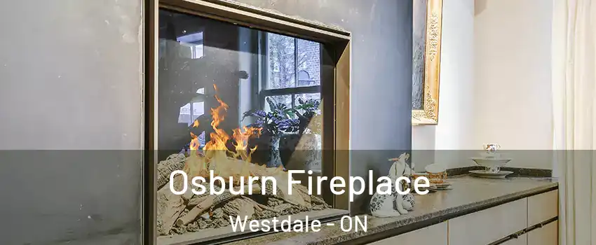  Osburn Fireplace Westdale - ON