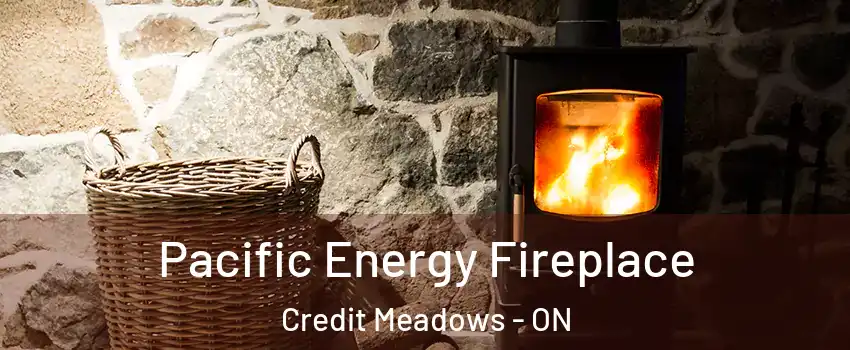  Pacific Energy Fireplace Credit Meadows - ON