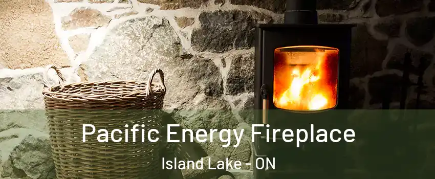  Pacific Energy Fireplace Island Lake - ON