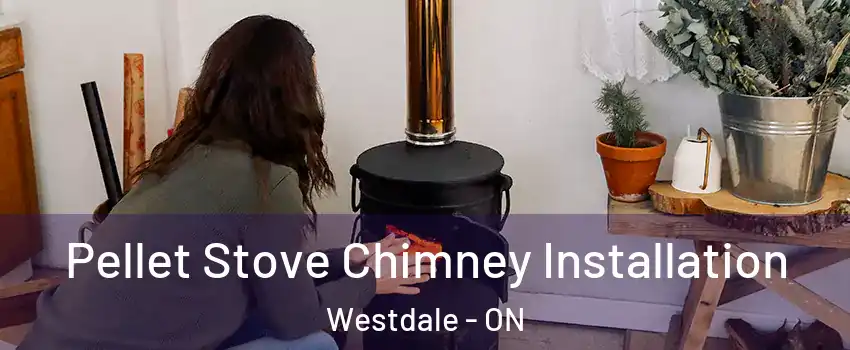  Pellet Stove Chimney Installation Westdale - ON