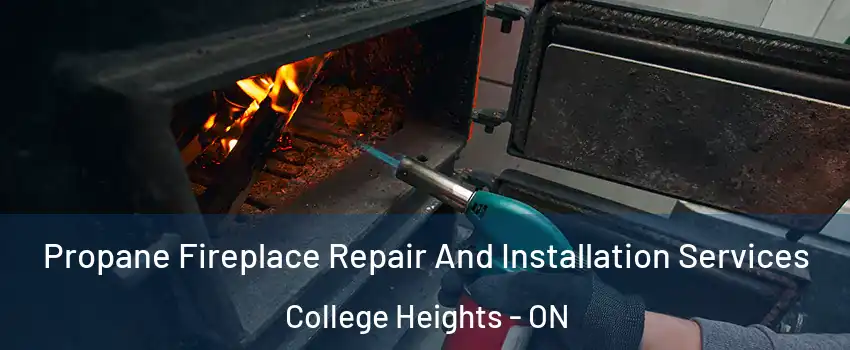 Propane Fireplace Repair And Installation Services College Heights - ON
