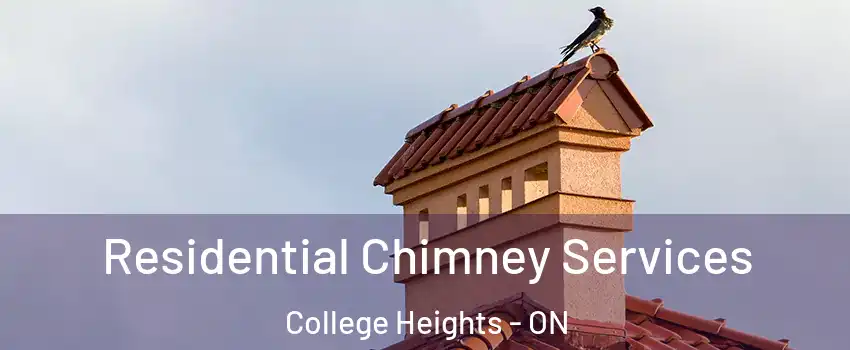  Residential Chimney Services College Heights - ON