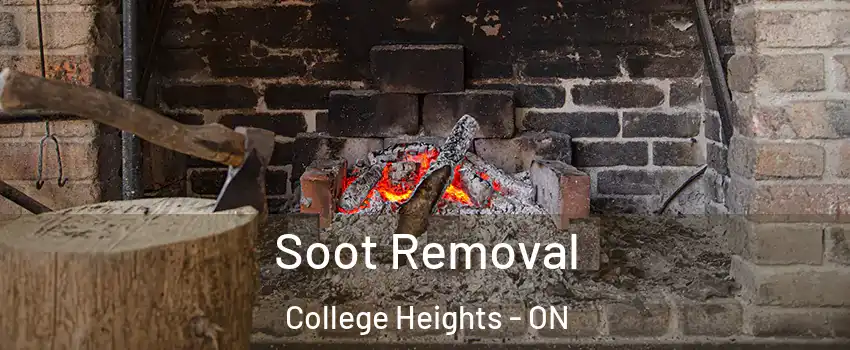  Soot Removal College Heights - ON