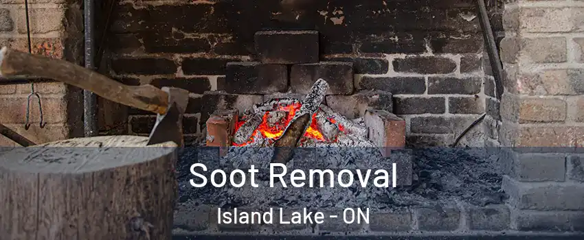  Soot Removal Island Lake - ON