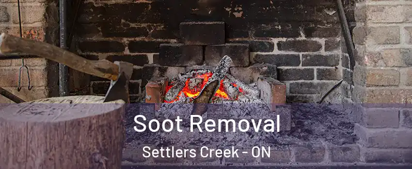  Soot Removal Settlers Creek - ON