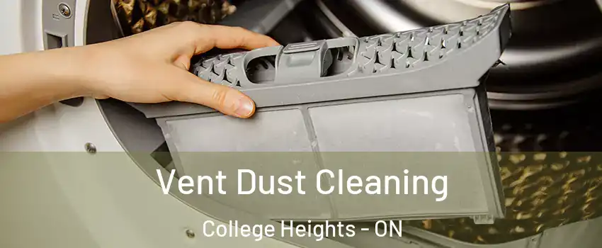 Vent Dust Cleaning College Heights - ON